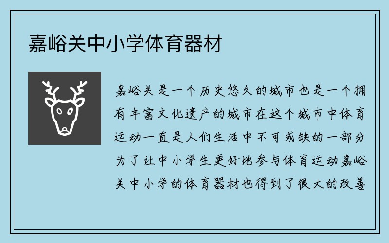 嘉峪关中小学体育器材