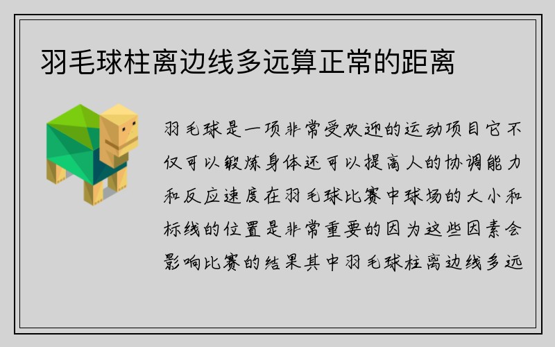 羽毛球柱离边线多远算正常的距离